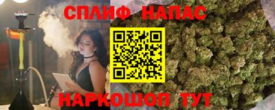 крисы Лесосибирск