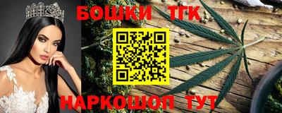крисы Лесосибирск
